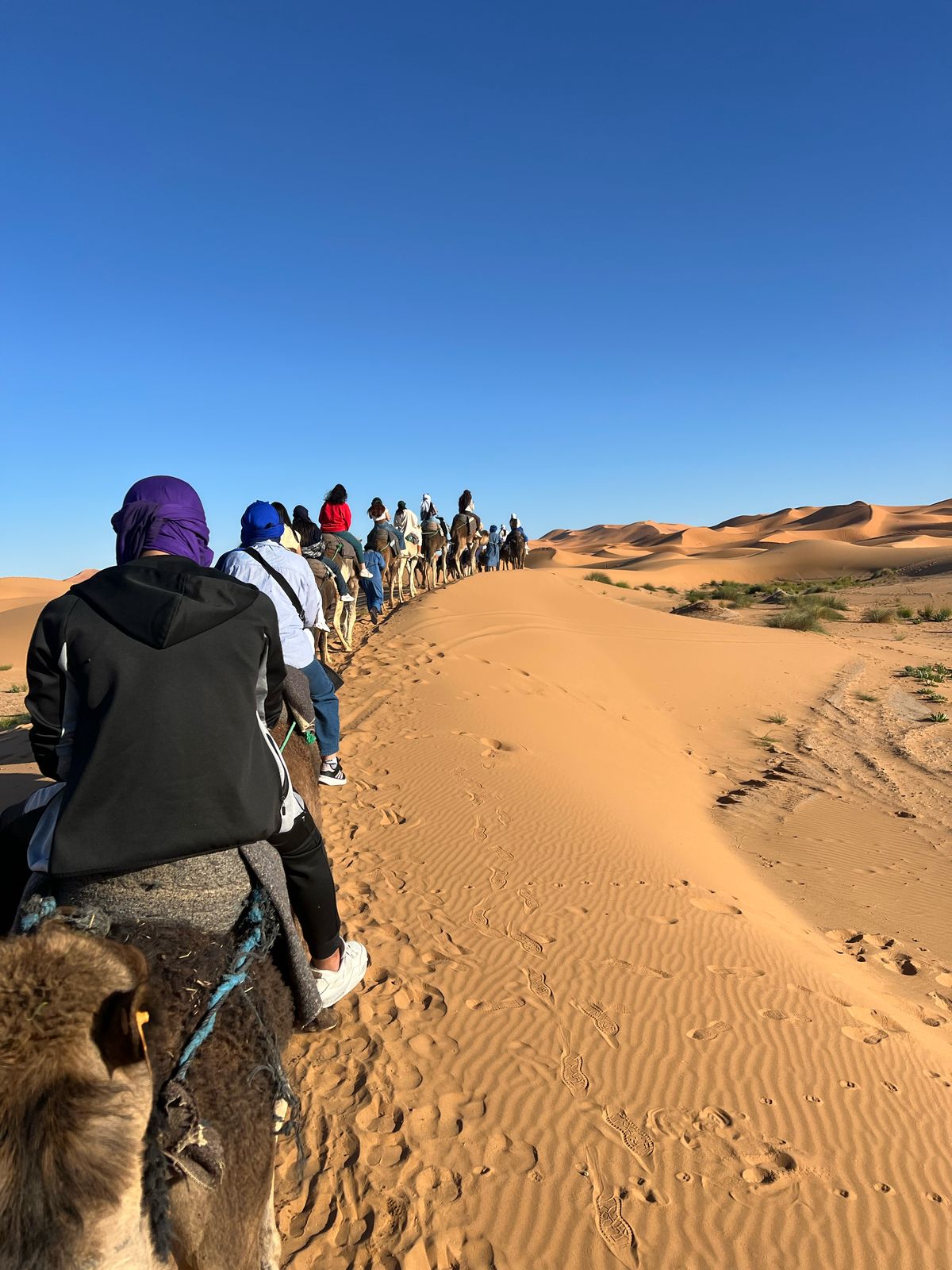 Élèves en voyage éducatif